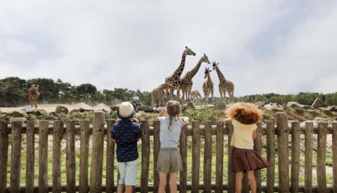 29, Natuurlijk Gelegen Nabij Efteling En Beekse Bergen, Airco & Prive Parkeren Inbegrepen! Ойстервейк Экстерьер фото
