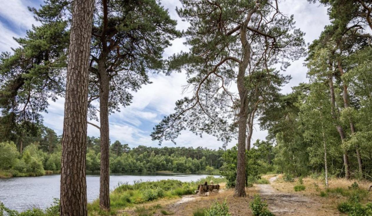 29, Natuurlijk Gelegen Nabij Efteling En Beekse Bergen, Airco & Prive Parkeren Inbegrepen! Ойстервейк Экстерьер фото